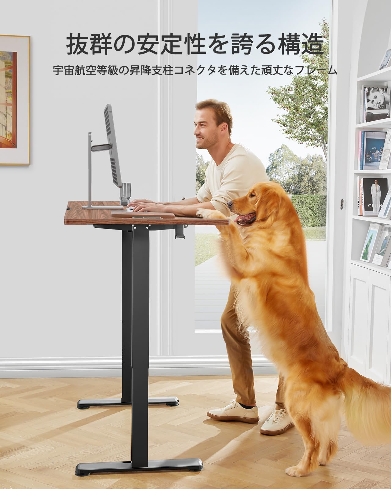 電動昇降式デスクスタンディングデスク幅120cm 耐荷重80kg Amazon.co.jp: ErGear 電動 オフィスワークテーブル 昇降式デスク